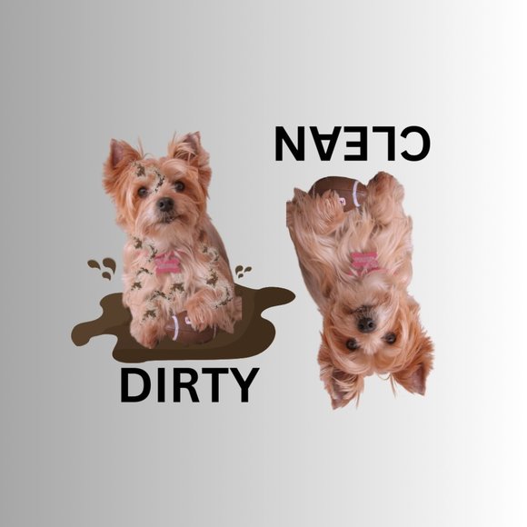 YORKSHIRE TERRIER Clean Dirty Dishwasher Flexible Magnet - Picture 1 of 1